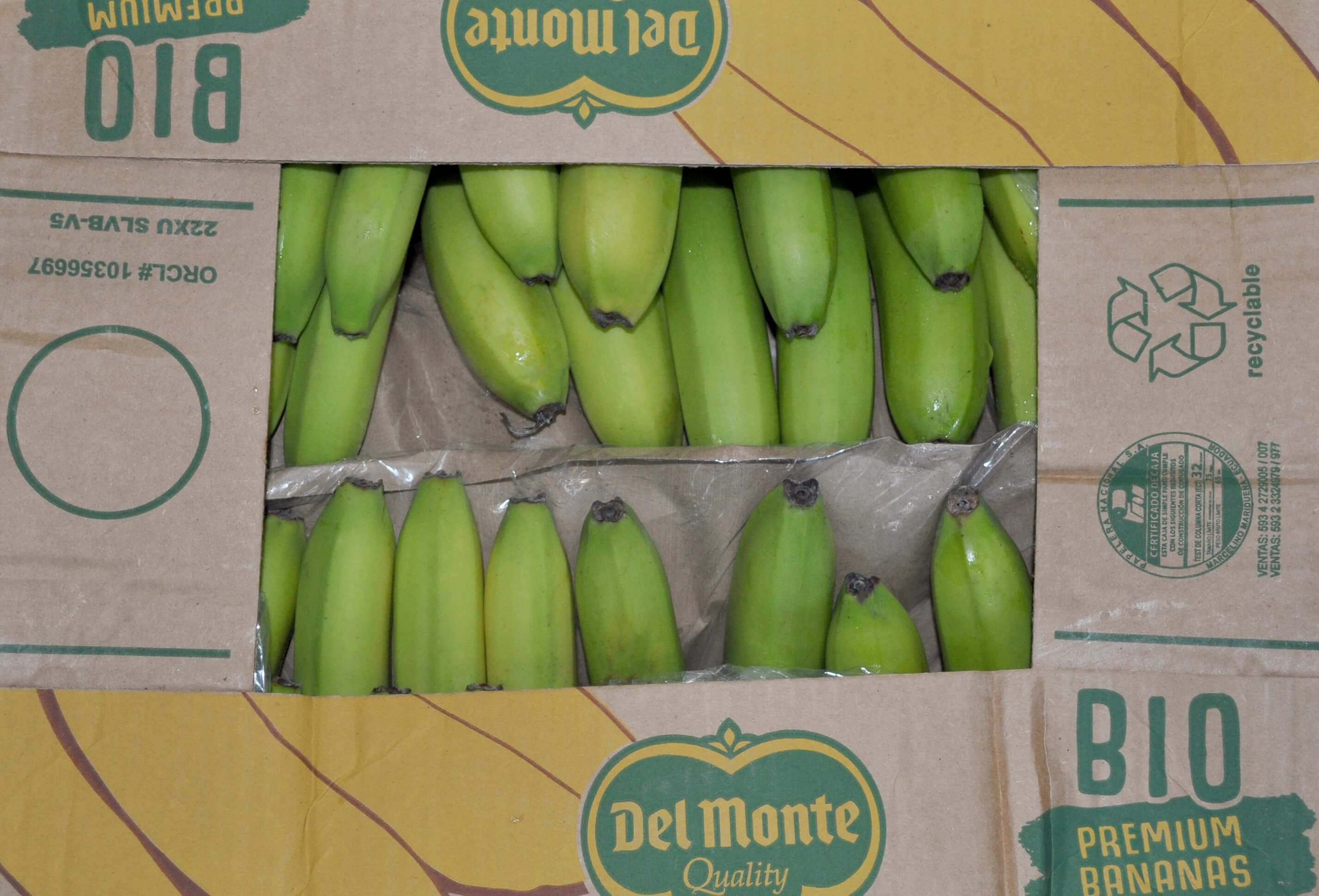 Reifeprobleme bei den Bio-Bananen